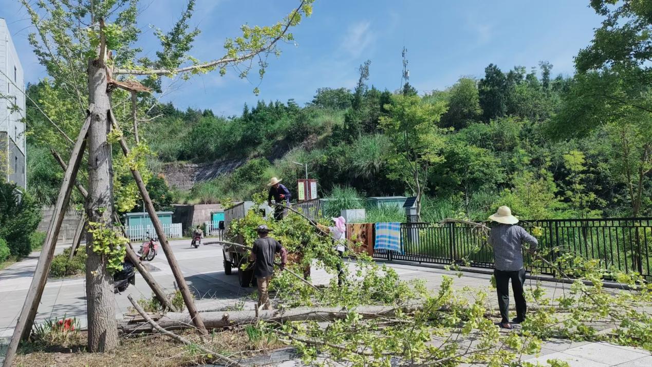 我们在行动，只为你到来—开学季之后勤保障篇